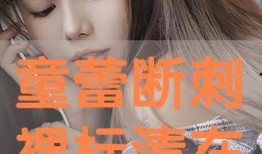 童蕾断刺裸在线观看,揭秘惊心动魄的武侠世界